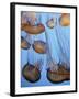 California, Monterey Bay Acquarium, Pacific Sea Nettle Jellyfish, USA-Michele Falzone-Framed Photographic Print