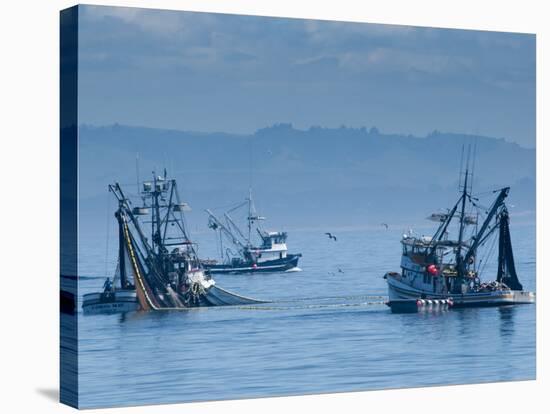 California, Monterey, Fishing Boats, USA-Alan Copson-Stretched Canvas