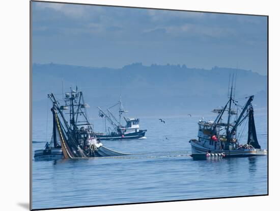 California, Monterey, Fishing Boats, USA-Alan Copson-Mounted Photographic Print