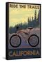 California - Mountain Bike Scene-Lantern Press-Framed Stretched Canvas