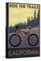 California - Mountain Bike Scene-Lantern Press-Stretched Canvas