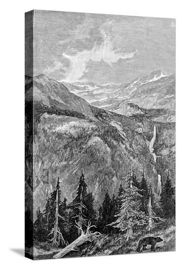 Stretched Canvas Print, , large