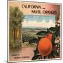 California Navel Oranges Brand - Pomona, California - Citrus Crate Label-Lantern Press-Mounted Art Print