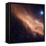 California Nebula-Stocktrek Images-Framed Stretched Canvas