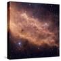 California Nebula-Stocktrek Images-Stretched Canvas