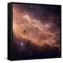 California Nebula-Stocktrek Images-Framed Stretched Canvas