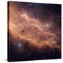 California Nebula-Stocktrek Images-Stretched Canvas