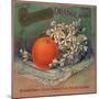 California Orange Brand - Riverside, California - Citrus Crate Label-Lantern Press-Mounted Art Print