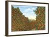 California Orange Grove in Winter-null-Framed Art Print