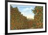 California Orange Grove in Winter-null-Framed Art Print