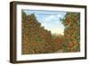 California Orange Grove in Winter-null-Framed Art Print