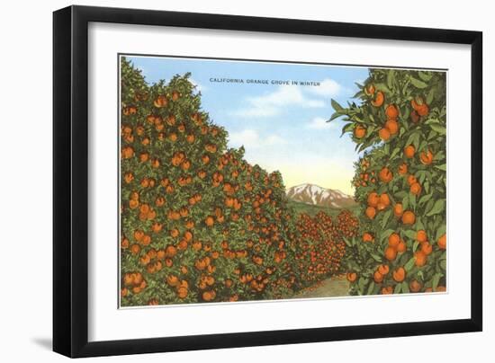 California Orange Grove in Winter-null-Framed Art Print