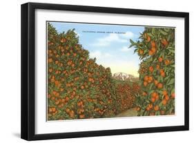 California Orange Grove in Winter-null-Framed Art Print