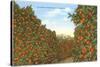 California Orange Grove in Winter-null-Stretched Canvas