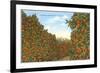California Orange Grove in Winter-null-Framed Premium Giclee Print