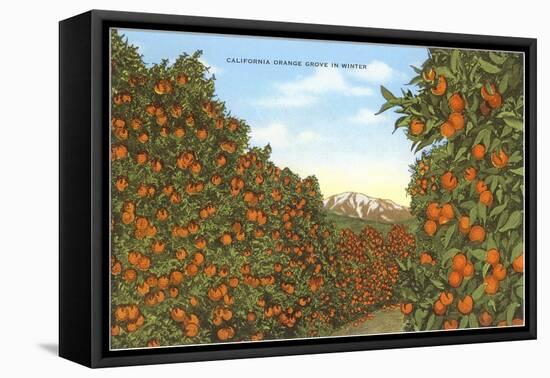 California Orange Grove in Winter-null-Framed Stretched Canvas