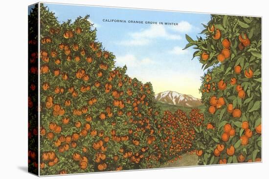 California Orange Grove in Winter-null-Stretched Canvas