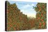 California Orange Grove in Winter-null-Stretched Canvas