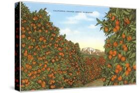 California Orange Grove in Winter-null-Stretched Canvas