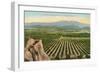 California Orange Grove-null-Framed Art Print