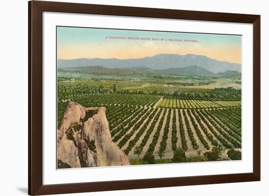 California Orange Grove-null-Framed Art Print