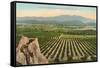 California Orange Grove-null-Framed Stretched Canvas