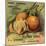 California Oranges Brand - Los Angeles, California - Citrus Crate Label-Lantern Press-Mounted Art Print
