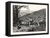 California: Our National Industries: Grape-Culture in the Sonoma Valley-null-Framed Stretched Canvas