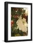 California, Palm Springs. Christmas decorations.-Michael DeFreitas-Framed Photographic Print