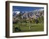 California, Palm Springs, Desert Princess Golf Course and Mountains, Winter, USA-Walter Bibikow-Framed Photographic Print