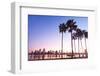 California Palm Trees and City of San Diego, California USA-Dancestrokes-Framed Photographic Print