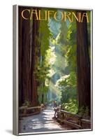 California - Pathway in the Forest-Lantern Press-Framed Art Print