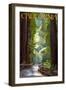 California - Pathway in the Forest-Lantern Press-Framed Art Print