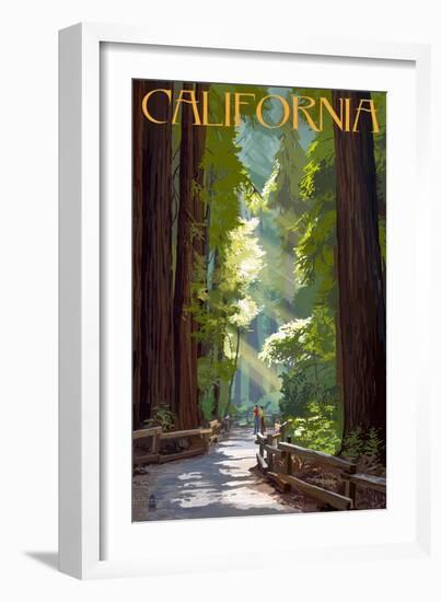 California - Pathway in the Forest-Lantern Press-Framed Art Print