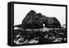 California Pfeiffer Beach in Big Sur State Park Dramatic Black and White Rocks and Waves-holbox-Framed Stretched Canvas