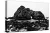 California Pfeiffer Beach in Big Sur State Park Dramatic Black and White Rocks and Waves-holbox-Stretched Canvas