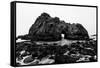 California Pfeiffer Beach in Big Sur State Park Dramatic Black and White Rocks and Waves-holbox-Framed Stretched Canvas