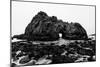 California Pfeiffer Beach in Big Sur State Park Dramatic Black and White Rocks and Waves-holbox-Mounted Photographic Print