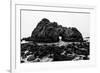 California Pfeiffer Beach in Big Sur State Park Dramatic Black and White Rocks and Waves-holbox-Framed Photographic Print