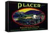 California, Placer Mountain Fruits Brand Appel Label-Lantern Press-Framed Stretched Canvas