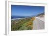 California Poppies along Highway 1-Rob Tilley-Framed Photographic Print