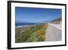 California Poppies along Highway 1-Rob Tilley-Framed Photographic Print