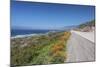 California Poppies along Highway 1-Rob Tilley-Mounted Photographic Print