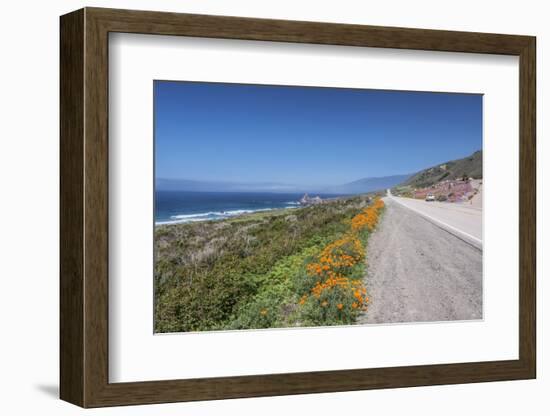 California Poppies along Highway 1-Rob Tilley-Framed Photographic Print