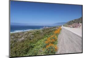 California Poppies along Highway 1-Rob Tilley-Mounted Photographic Print