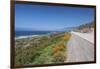 California Poppies along Highway 1-Rob Tilley-Framed Photographic Print