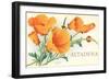 California Poppies, Altadena-null-Framed Art Print