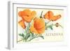 California Poppies, Altadena-null-Framed Art Print