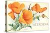 California Poppies, Altadena-null-Stretched Canvas