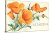 California Poppies, Altadena-null-Stretched Canvas